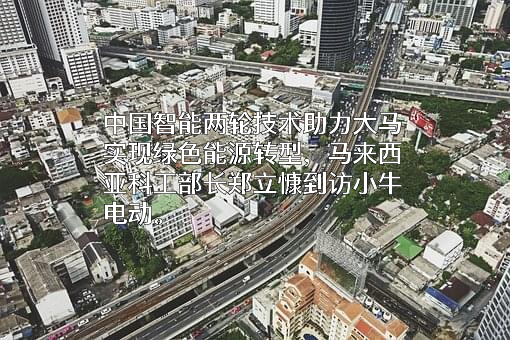 小牛电动有限公司