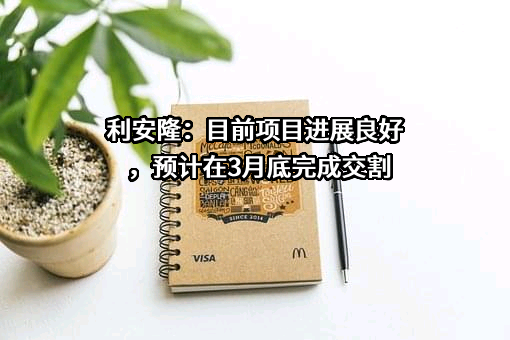 天津利安隆新材料股份有限公司