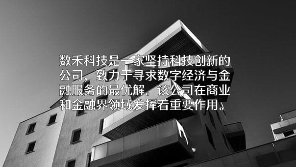 上海数禾信息科技有限公司