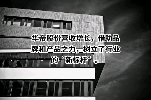 华帝股份有限公司