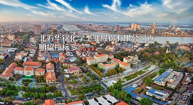 北方华锦化学工业股份有限公司