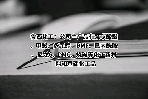 鲁西化工集团股份有限公司