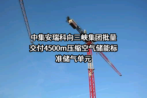 中集安瑞科控股有限公司