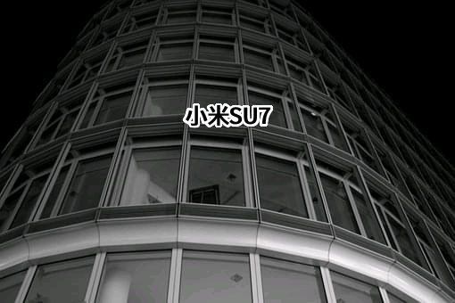 小米科技有限责任公司