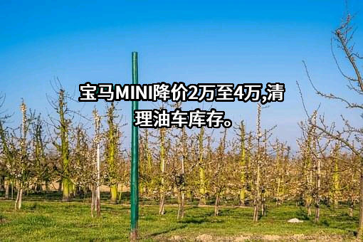 宝马（中国）汽车贸易有限公司
