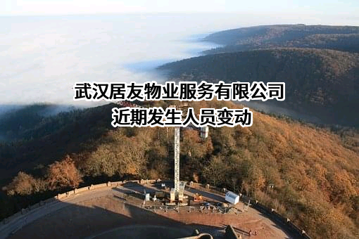 武汉居友物业服务有限公司