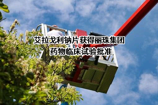 丽珠医药集团股份有限公司