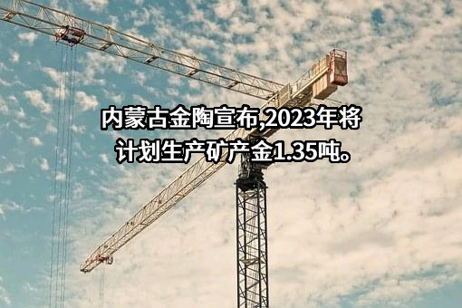 内蒙古金陶股份有限公司