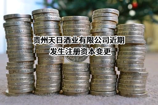 贵州天日酒业有限公司