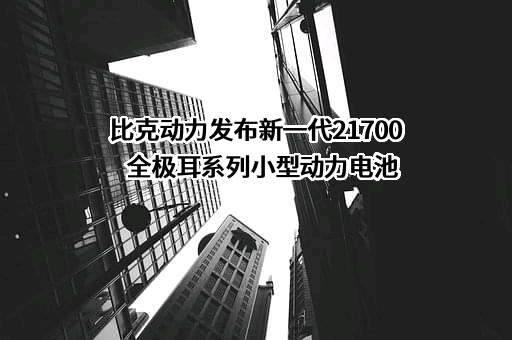 深圳市比克动力电池有限公司
