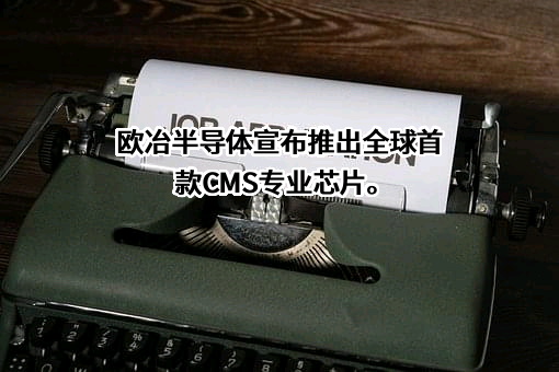 深圳市欧冶半导体有限公司