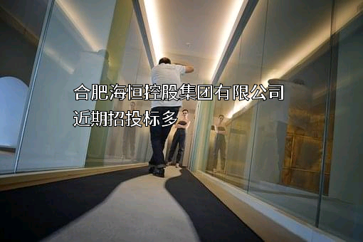 合肥海恒控股集团有限公司