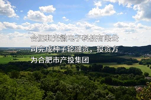 合肥和光微电子科技有限公司