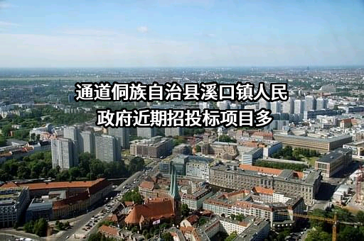 通道侗族自治县溪口镇人民政府近期招投标项目多