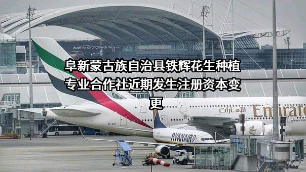 阜新蒙古族自治县铁辉花生种植专业合作社