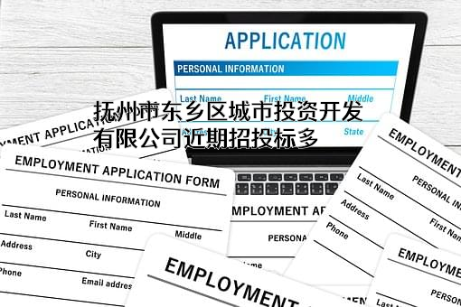 抚州市东乡区城市投资开发有限公司
