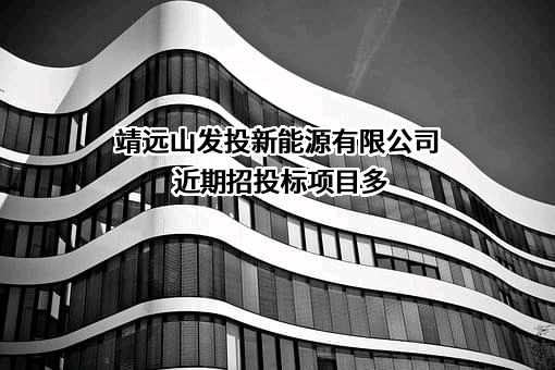 靖远山发投新能源有限公司近期招投标项目多