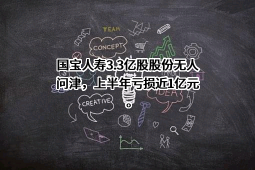 国宝人寿保险股份有限公司