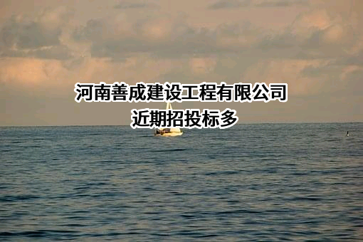 河南善成建设工程有限公司