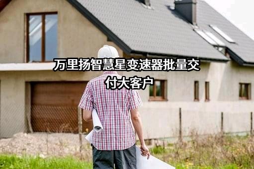 浙江万里扬股份有限公司