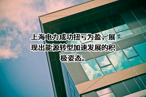 上海电力股份有限公司