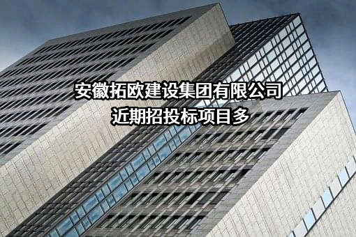 安徽拓欧建设集团有限公司