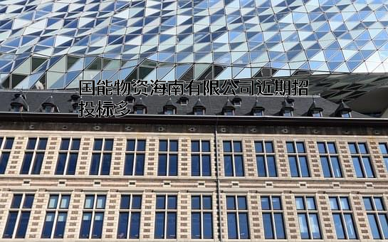 国能物资海南有限公司