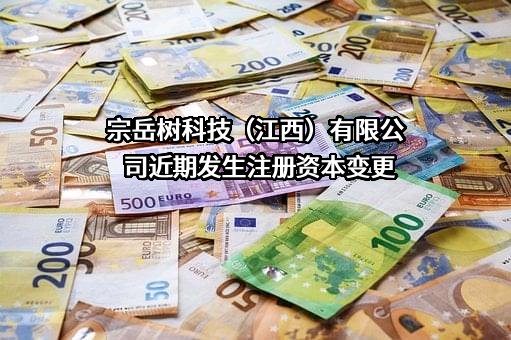宗岳树科技（江西）有限公司