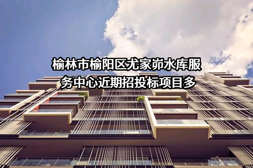 榆林市榆阳区尤家峁水库服务中心近期招投标项目多