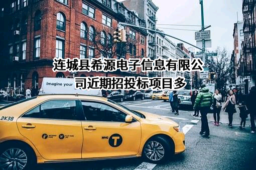 连城县希源电子信息有限公司