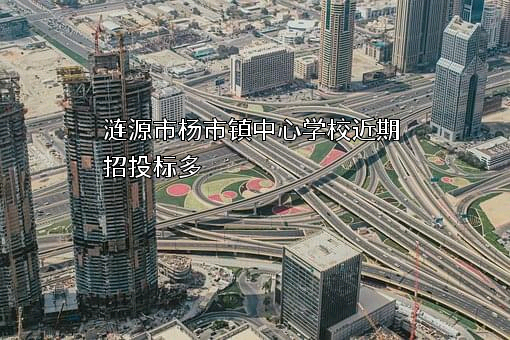 涟源市杨市镇中心学校近期招投标项目多