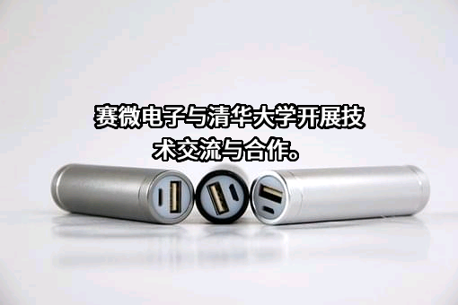 北京赛微电子股份有限公司