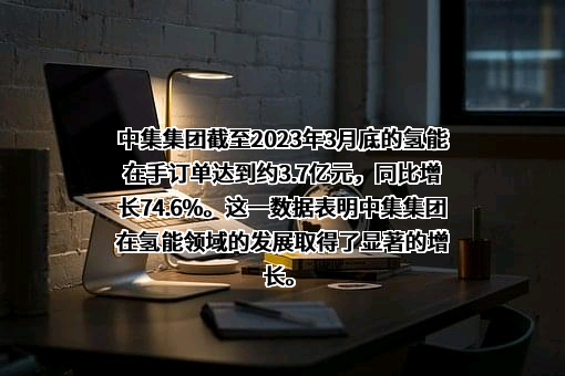 中集安瑞科控股有限公司