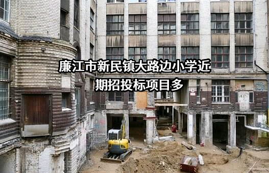 廉江市新民镇大路边小学