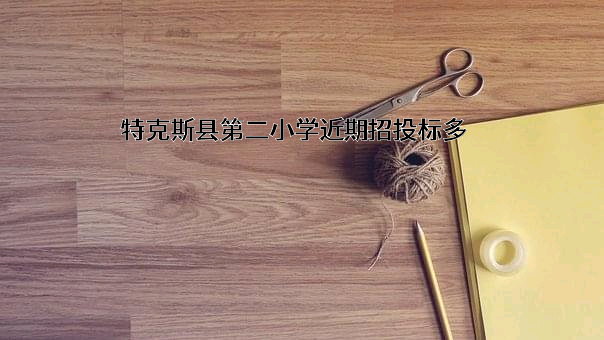 特克斯县第二小学