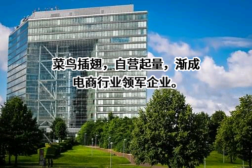 菜鸟控股集团股份有限公司