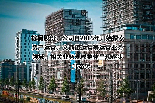 棕榈生态城镇发展股份有限公司