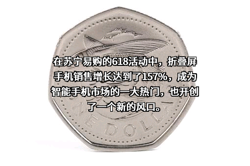 苏宁易购集团股份有限公司