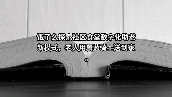 上海拉扎斯信息科技有限公司