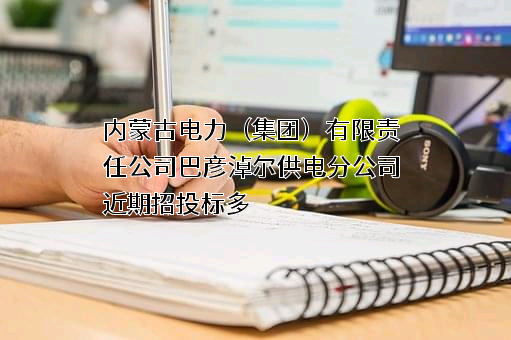 内蒙古电力（集团）有限责任公司巴彦淖尔供电分公司