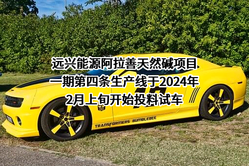 内蒙古远兴能源股份有限公司