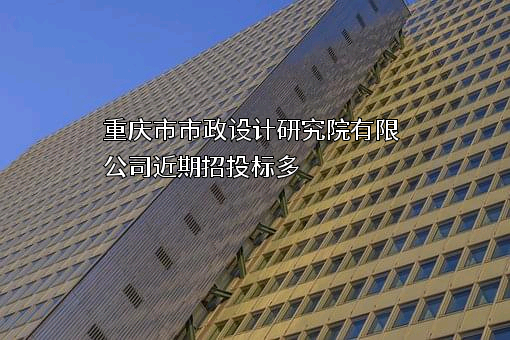 重庆市市政设计研究院有限公司
