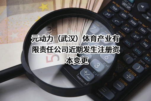 元动力（武汉）体育产业有限责任公司