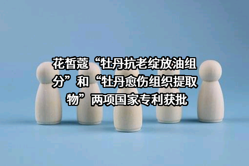 江西花皙蔻贸易有限公司