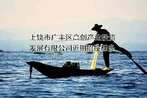 上饶市广丰区高创产业投资发展有限公司