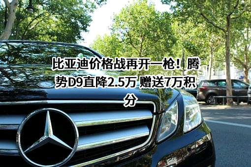 比亚迪股份有限公司