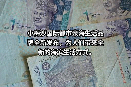 深圳市特发小梅沙投资发展有限公司