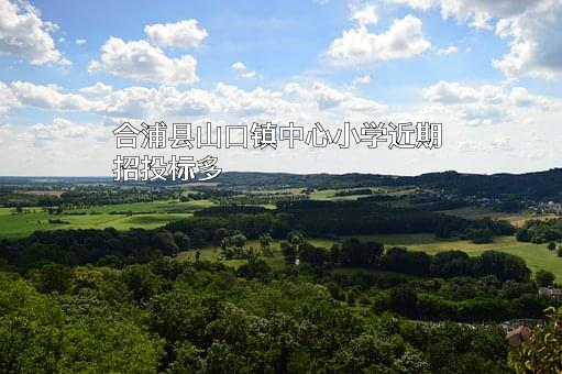 合浦县山口镇中心小学