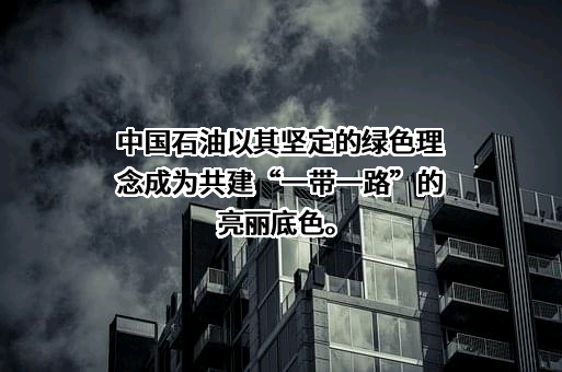 中国石油天然气股份有限公司