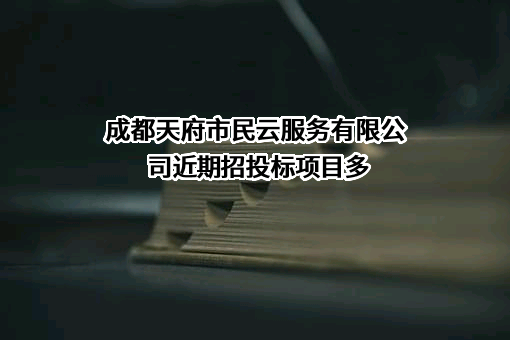 成都天府市民云服务有限公司